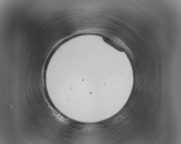 X0000081590988200702121509