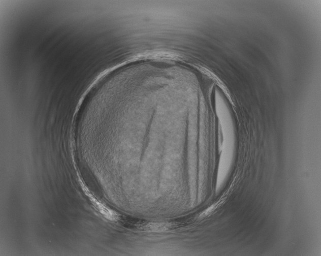 X0000081590989200702121509