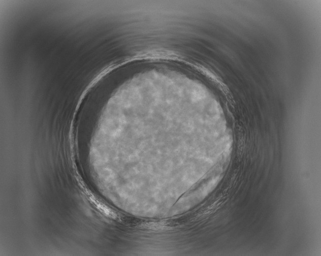 X0000081590990200702121509