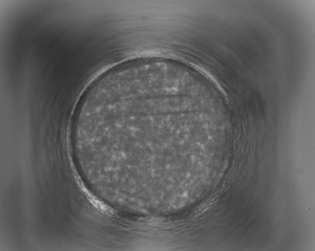 X0000081590991200702121509