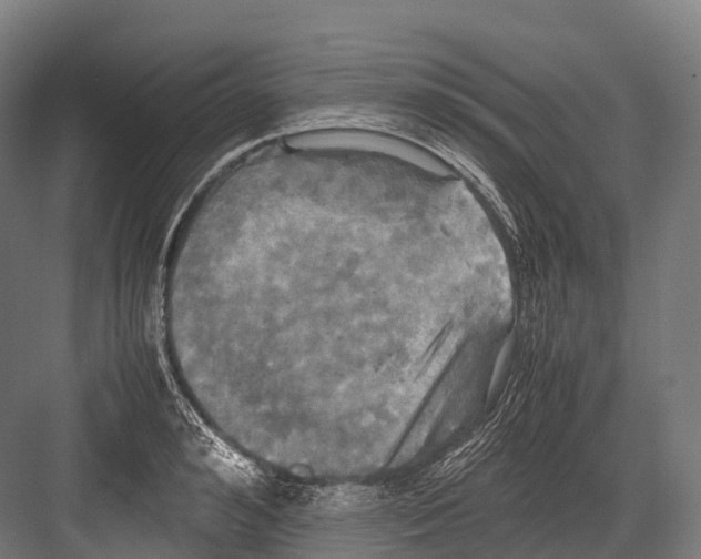 X0000081590992200702121509