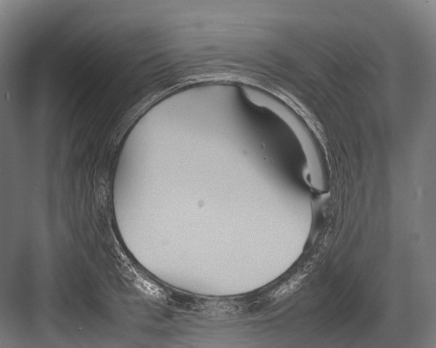 X0000081590993200702121509