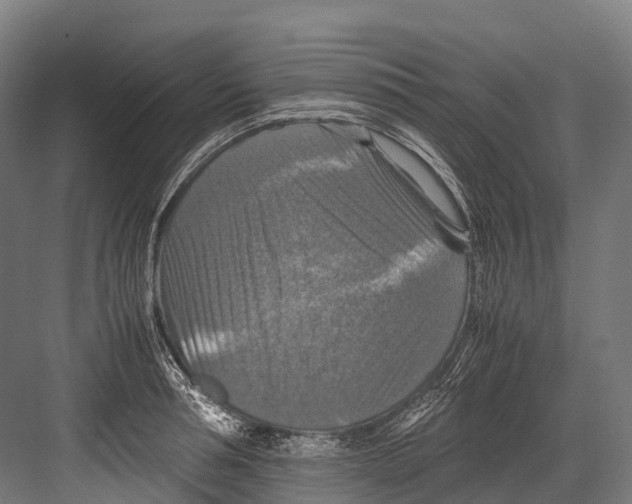 X0000081590994200702121509