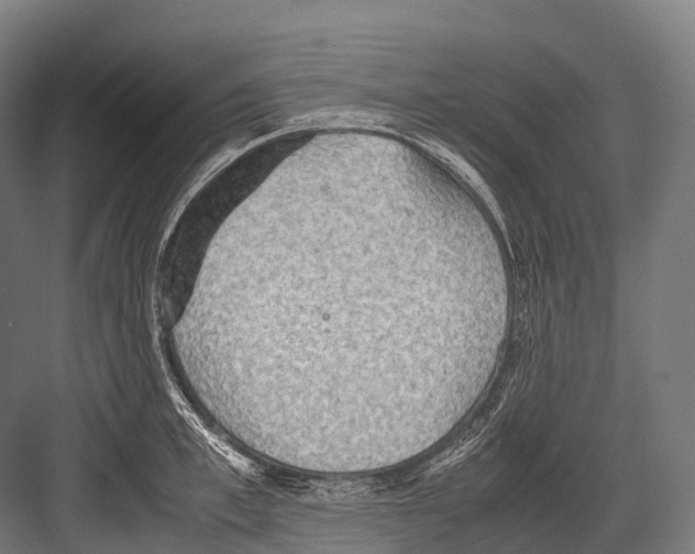 X0000081590997200702121509