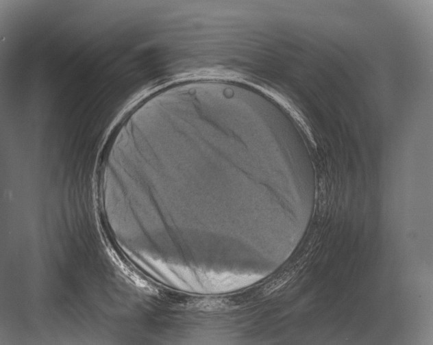 X0000081590998200702121509