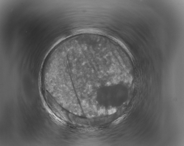 X0000081590999200702121509