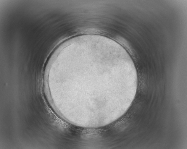 X0000081591000200702121509