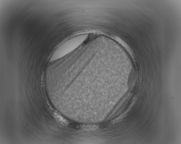 X0000081591001200702121509