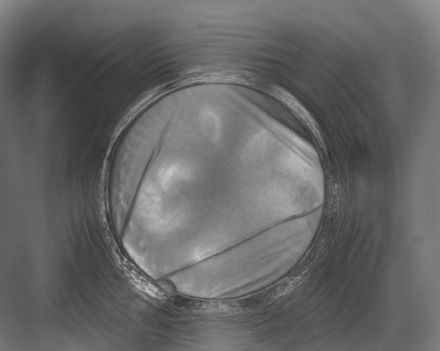 X0000081591002200702121509