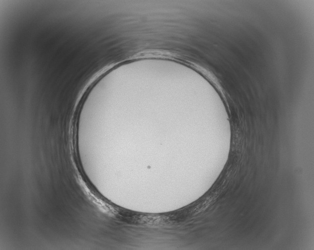 X0000081591003200702121509