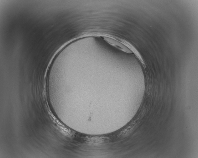 X0000081591004200702121509