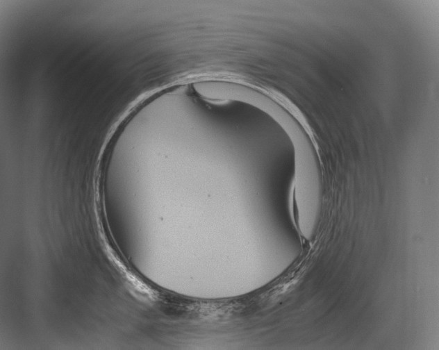 X0000081591005200702121509