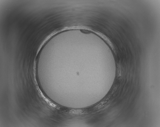 X0000081591006200702121509