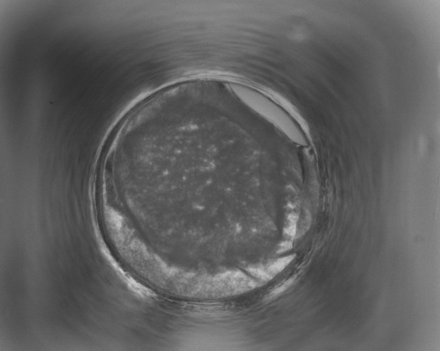 X0000081591007200702121509