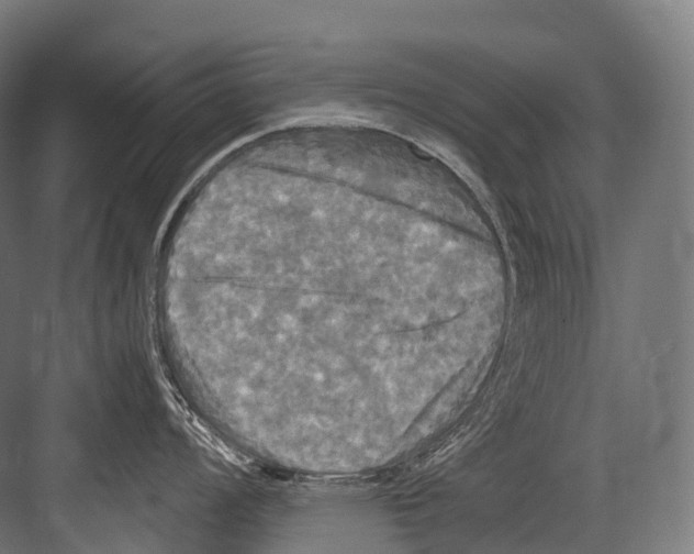 X0000081591008200702121509