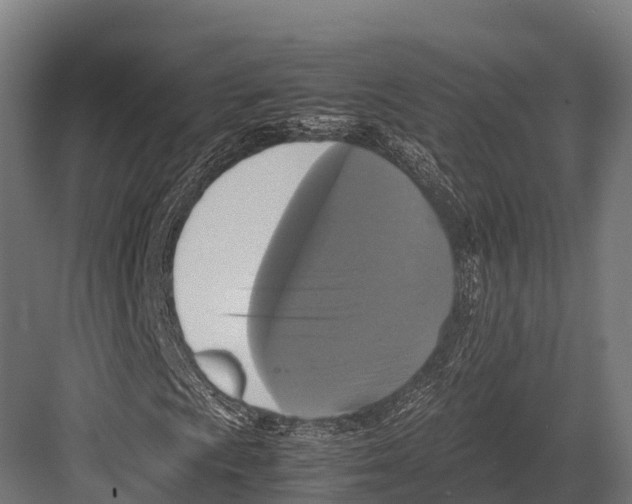 X0000081591009200702121508