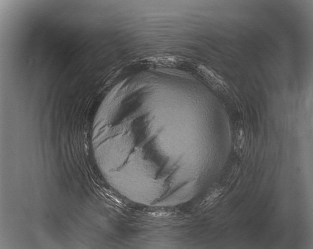 X0000081591010200702121508