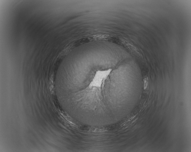 X0000081591011200702121508