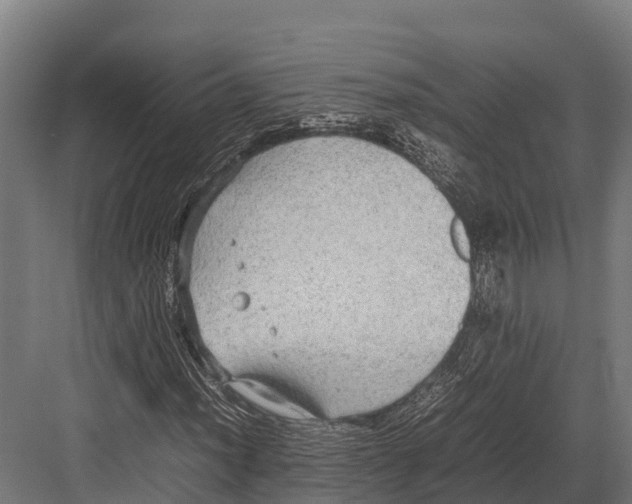 X0000081591012200702121508