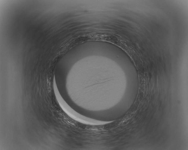 X0000081591013200702121508