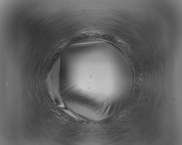 X0000081591014200702121508