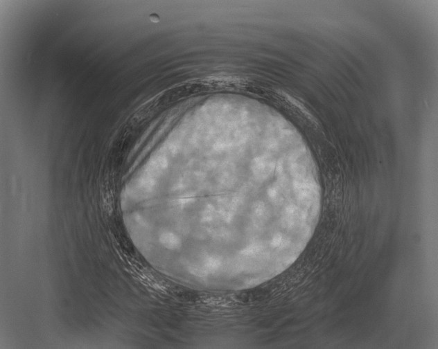 X0000081591015200702121508