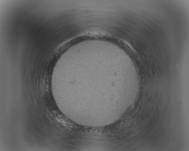 X0000081591016200702121508