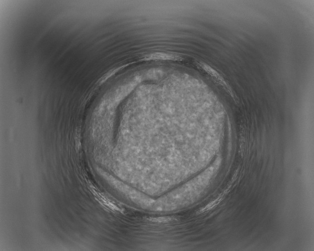 X0000081591017200702121508