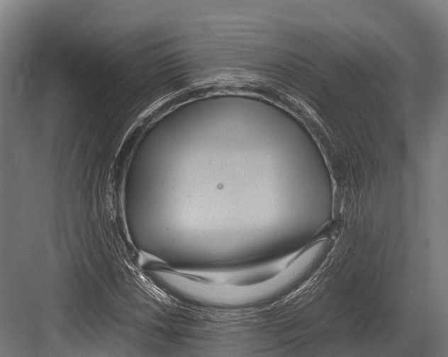 X0000081591018200702121508