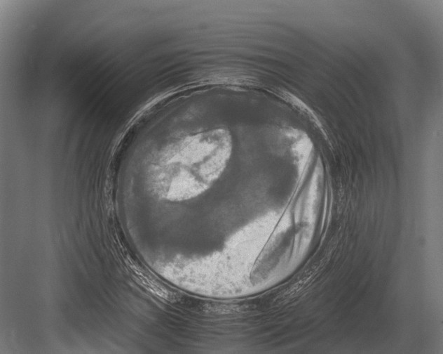 X0000081591019200702121508