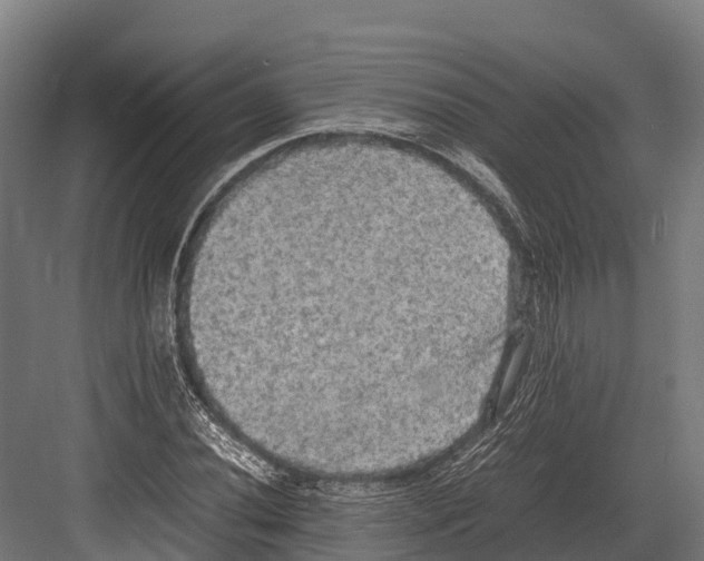 X0000081591020200702121508