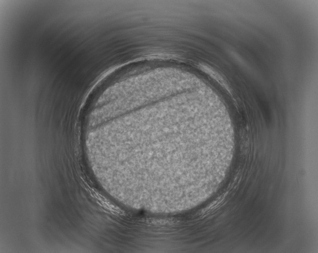 X0000081591021200702121508