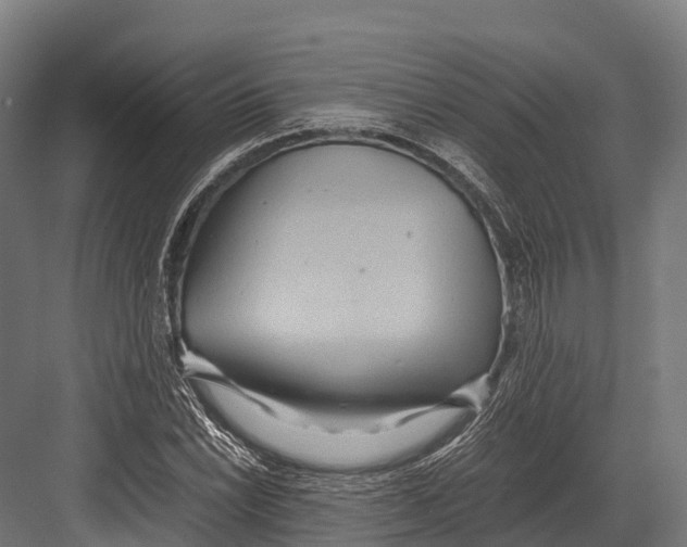 X0000081591022200702121508