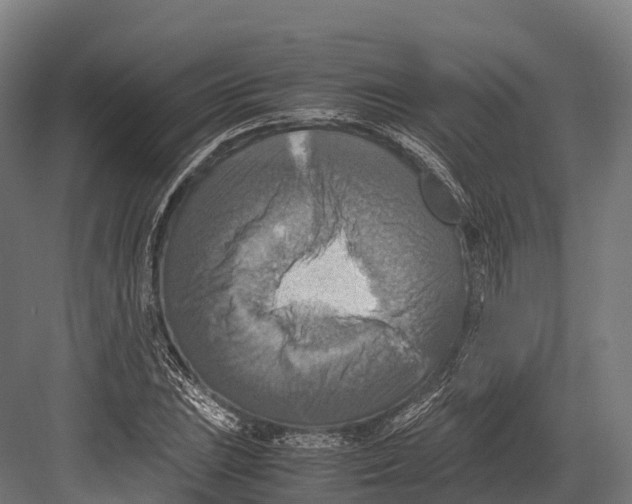 X0000081591023200702121508