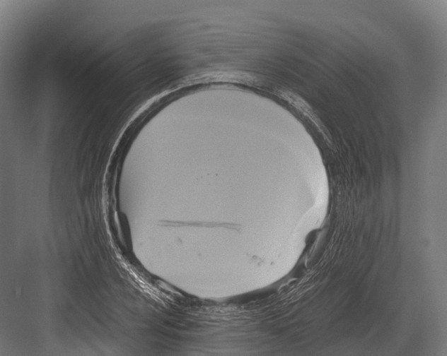 X0000081591024200702121508