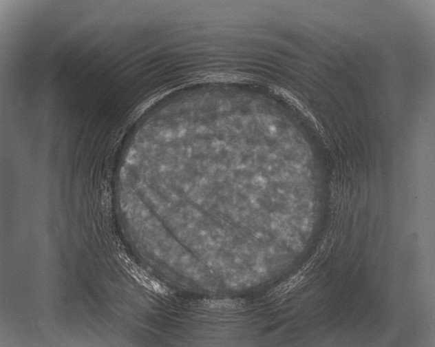 X0000081591025200702121508