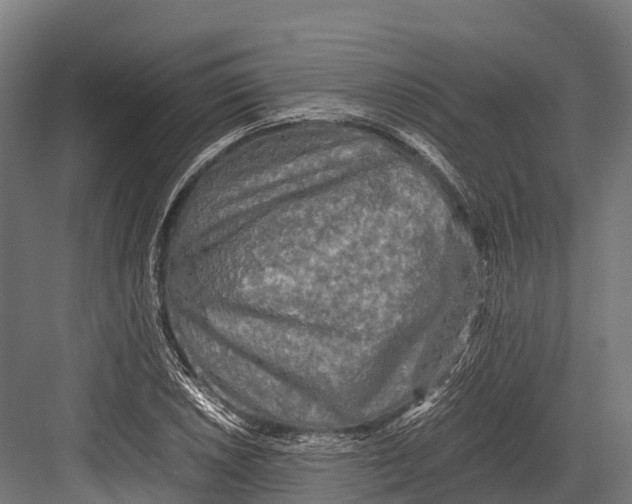 X0000081591026200702121508