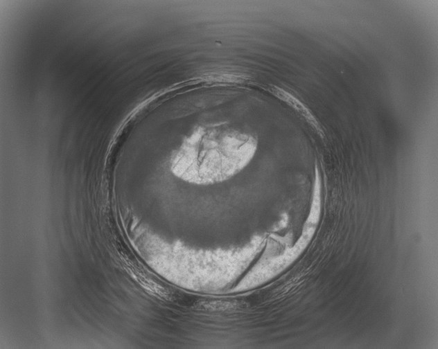 X0000081591027200702121508