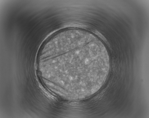 X0000081591028200702121508