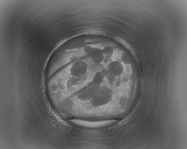 X0000081591029200702121508