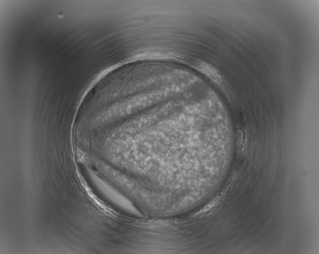 X0000081591030200702121508