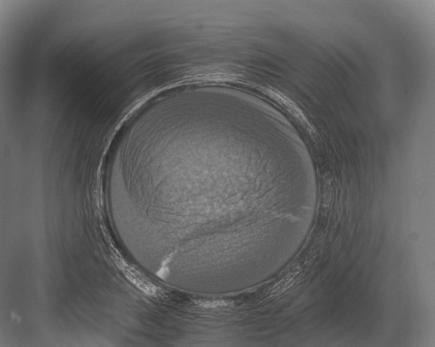 X0000081591031200702121508