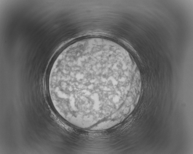 X0000081591032200702121508