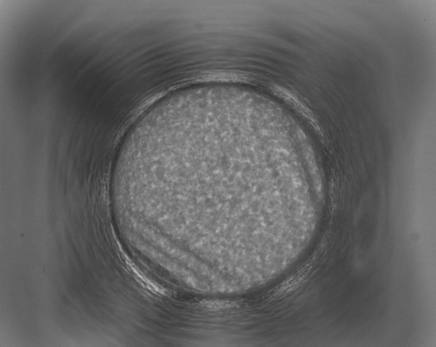 X0000081591033200702121508