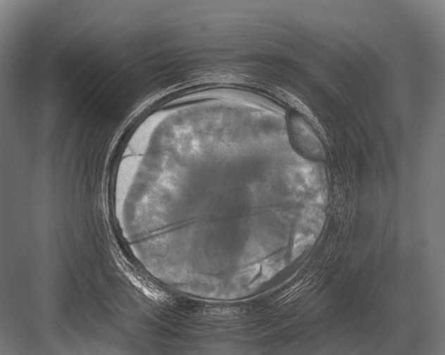 X0000081591035200702121508