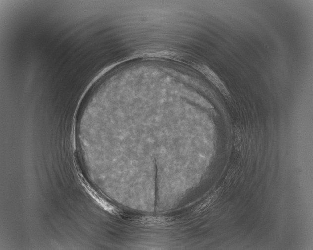 X0000081591036200702121508