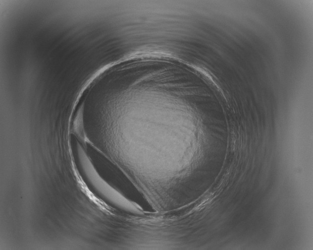 X0000081591038200702121508