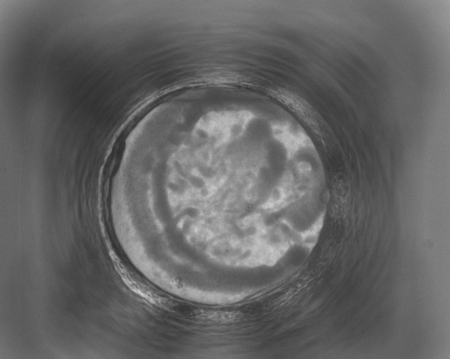 X0000081591039200702121508