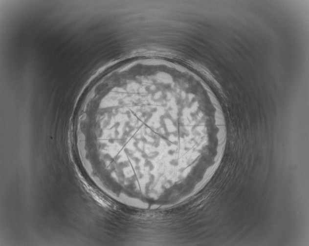 X0000081591040200702121508