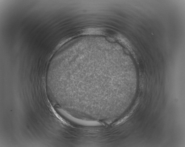 X0000081591041200702121508